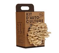 Kit de Culture de Champignons à la Maison | Cultivez des Pleurotes Frais en 15 Jours | Deuxième Récolte Possible | Cadeau Original et Ludique pour Gourmets et Familles | Resetea