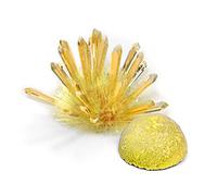 Kit de culture de cristal à vapeur - Expérience scientifique éducative - Projets de bricolage - Laboratoire pour enfants - Apprendre le principe de croissance - Développer les compétences