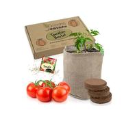 Kit de Culture de Légumes - HINRICHS - Tomates - Graines Premium - Terreau Spécial - Sac en Jute Écologique