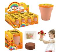 Kit de Culture de pour, Boîte de Jardinage pour pour Le démarrage des semences, Jardinières Auto-arrosantes, Sol, Utilisation intérieure et extérieure, Pas de gâchis, Jouet d'activité STEM Facile à
