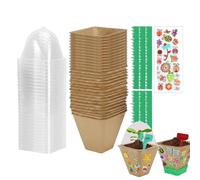 Kit De Culture De Pour STEM De Pot De Fleurs