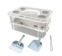 Kit de culture de vers de farine | Récipient d'élevage transparent pour vers de farine vivants - Pour écureuils en sucre, oiseaux, poules, lézards, ames barbus, grenouilles, tortues (transparent, 1