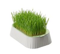 Kit de culture d'herbe à chat sans terre - Pot de fleurs hydroponique avec fond antidérapant - Bac de germination amovible à 2 niveaux pour herbe à chat et herbe de blé - Pot compact pour herbe à chat