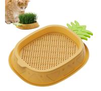 Kit de culture hydroponique pour chat - Plateau de germination de plantes en forme d'ananas, pot de culture d'herbe de blé pour intérieur et chat