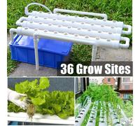 Kit de culture hydroponique Système de jardinage hydroponique Outils pour légumes Plantes Systèmes de culture hydroponique Légumes Fleurs Système hydroponique éducatif (36 sites de plantes 1 couche)