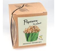 Kit de culture « Maïs popcorn ».