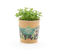 Kit de culture « MonsterLima » - Cadeau d'invité d'Halloween, souvenir et décoration de table - Graines de menthe avec comprimé de source de noix de coco et instructions de plantation (français non