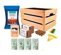 Kit de culture urbain Plantawa Haute Qualité