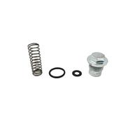 Kit de Cylindre de Moteur de Moto de 78 mm, Joint de Base de Culasse de Segment de Piston Compatible avec Les modèles KLX300 LX300 VOGE, Assemblage de Bloc-cylindres à air(Cylinder Tensioner)
