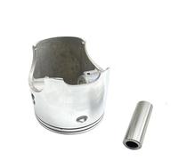 Kit de cylindre de moteur de Standard, segment de Piston de 66.8mm Compatible avec DT230 MT250 TSE250 HJ250H, pièces compatibles, joint 2T 4TP-11311-01 4TP-11181(Piston)