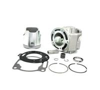 Kit de cylindre de moteur de Standard, segment de Piston de 66.8mm Compatible avec DT230 MT250 TSE250 HJ250H, pièces compatibles, joint 2T 4TP-11311-01 4TP-11181(Full set)