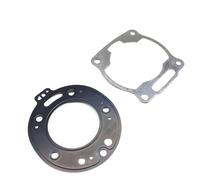 Kit de cylindre de moteur de Standard, segment de Piston de 66.8mm Compatible avec DT230 MT250 TSE250 HJ250H, pièces compatibles, joint 2T 4TP-11311-01 4TP-11181(Mat)