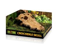 Kit de décoration crâne crocodile Exo Terra Beige 23x12x7,5 cm