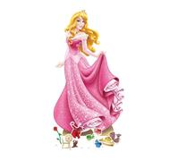 Kit de décoration - Disney - SP009 - Silhouettes de princesses - Accessoires de fête - Rose