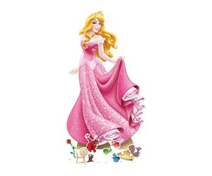 Kit de décoration - Disney - SP009 - Silhouettes de princesses - Accessoires de fête - Rose