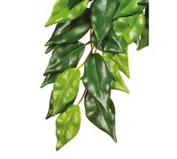 Kit de décoration ficus plante Exo Terra Vert 15x4x50 cm
