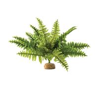 Kit de décoration fougère de boston Exo Terra Vert 9x5x29 cm