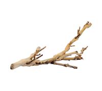 Kit de décoration pied de vigne sablé Exo Terra Beige S