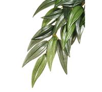 Kit de décoration ruscus plante Exo Terra Vert 22,5x4x80 cm