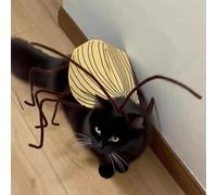 Kit de déguisement pour chat et cafard, décoration de fête d'Halloween pour chaton et petit chien, accessoires de costume de chat amusants, ailes de gardon et antenne, ensemble de cape pour animal