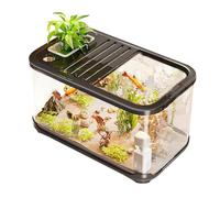 Kit De Démarrage D'aquarium avec Trous De Ventilation - Récipient D'habitat De Poisson, Réservoir De Reproduction De Crevettes, Enceinte Aquatique De Tortue, Porte- Décoratifs, Mini Boîte D'aqu