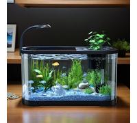 Kit de démarrage d'aquarium transparent - Kit complet - Mini aquarium - 30 x 20 x 19 cm - Petit bassin à poissons avec filtre et lumière - Pour tortues, grenouilles, habitants aquatiques