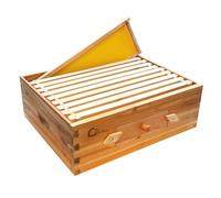 Kit de démarrage de ruche, boîte à essaim avec 10 rayons moyens, ruche en bois massif avec cadre en bois et fondation cirée, boîte de ruche durable, fournitures d'apiculture, maison d'abeilles
