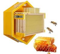 Kit De Démarrage De Ruche, Conception Hexagonale Murale, Système De Miel À Écoulement Automatique, Comprend des Cadres Et des Plateaux en Nid d'abeille, Boîtes Complètes De Ruche for Débutants