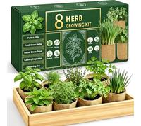 Kit de démarrage d'herbes aromatiques d'intérieur avec graines et outils pour débutants, cadeau d'anniversaire ultime pour femme, homme, maman, papa, cadeau de pendaison de crémaillère pour nouvelle