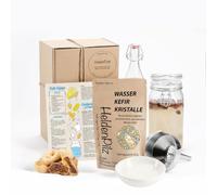 Kit de démarrage kéfir d'eau - Kit de kéfir DIY - Champignon de kéfir original dans un paquet complet avec cristaux japonais actifs - Culture de kéfir à forte croissance pour un démarrage parfait