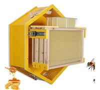 Kit de démarrage mural hexagonal pour l'observation de ruche avec fenêtre de visualisation en acrylique et plateaux en nid d'abeille pour l'intérieur, le jardin et l'apiculture éducative