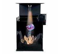 Kit De DéMarrage pour Aquarium Betta en Verre : Un Aquarium Transparent à TempéRature Constante avec Spots MagnéTiques, Roches D'AméNagement Paysager Et Filtre éLectrique.