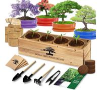 Kit de démarrage pour bonsaï avec graines et outils, plantes vivantes d'intérieur, cadeaux de jardinage pour femme, homme, maman, père, amoureux des plantes, cadeau d'anniversaire, de Thanksgiving, de