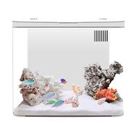 Kit de démarrage pour Petit Aquarium de 1, 3 Gallon avec Filtre à 3 Couches et éclairage LED, Aquarium Bureau avec système d'autonettoyage, décoration d'intérieur pour Petits Aquariums poiss