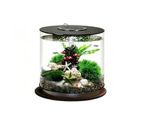 Kit De Démarrage Pour Petits Aquariums, Comprenant Un Bac Compact Avec Système De Filtration Intégré Et Dissimulé Ainsi Qu'un Éclairage Tricolore, Adapté À L'élevage De Diverses(Multi-colored-A)