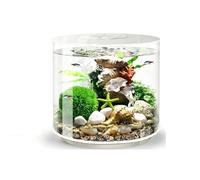 Kit De Démarrage Pour Petits Aquariums, Comprenant Un Bac Compact Avec Système De Filtration Intégré Et Dissimulé Ainsi Qu'un Éclairage Tricolore, Adapté À L'élevage De Diverses(Multi-colored-C)