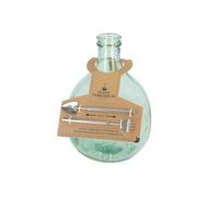 Kit de démarrage pour plante en terrarium en verre et inox - 5L - D 21,2 x H 33,1 cm
