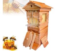 Kit de démarrage pour ruche - Ruche automatique avec fenêtre d'observation et robinet à miel - Comprend 4 cadres et 6 plateaux à alvéoles - Idéal pour les pollinisateurs de jardin et la petite