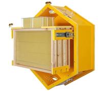 Kit De Démarrage pour Ruche, Ruche Murale D'intérieur À Flux Laminaire avec Fenêtre D'observation, 3 Cadres, 6 Plateaux Alvéolés, Conception Hexagonale pour Une Observation Facile des Abeilles