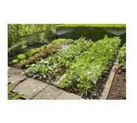 Gardena, Micro-irrigation, système de micro-goutte (Support de tuyauterie, Goutteur, Partiteur, Pièce en L, Outils)