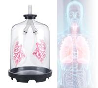 Kit de démonstration de la respiration pulmonaire - Simulateur de mouvement du diaphragme transparent pour l'enseignement de la biologie et de l'anatomie