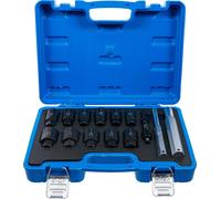 Kit de démontage d'antivols de jantes | 14 pcs.