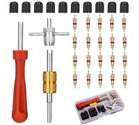 Kit de Dépose de Valve de Pneu de 33 Pcs avec 20 Obus de Valve, Extracteurs de Noyau de Valve à Double et à Une Tête, 4 Outils de Valve et 10 Capuchons de Valve de Pneu