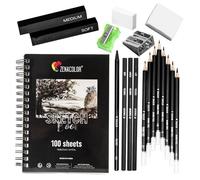 Kit de Dessin Complet Debutant ou Professionnel 19 accessoires : 8 Crayon Papier 3 Crayons Charbon 1 Graphite 3 B CRAYON DE COULEUR