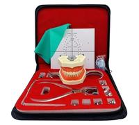 Kit de digue endodontique en caoutchouc, outil de pratique for digue en caoutchouc, kit de pinces dentaires, avec 28 dents, plaques de positionnement et cadres de serrage, for dentiste.