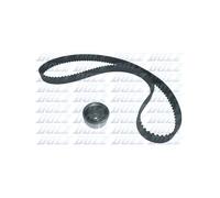 Kit de distribution DOLZ SKD002