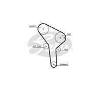 Kit de distribution GATES K015564XS