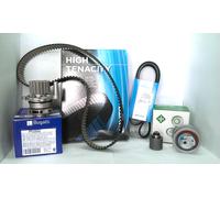INA - Kit distribution + pompe à eau 530 0201 32 - 19 dents - pour VW/Ford/Seat/Audi/Skoda