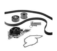 Kit de distribution + pompe à eau 30-0618-2 METELLI pour AUDI SKODA VW