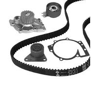METELLI Pompe À L'Eau + Courroie pour Volvo V40 Break 645 VW V70 II P80_ Noir